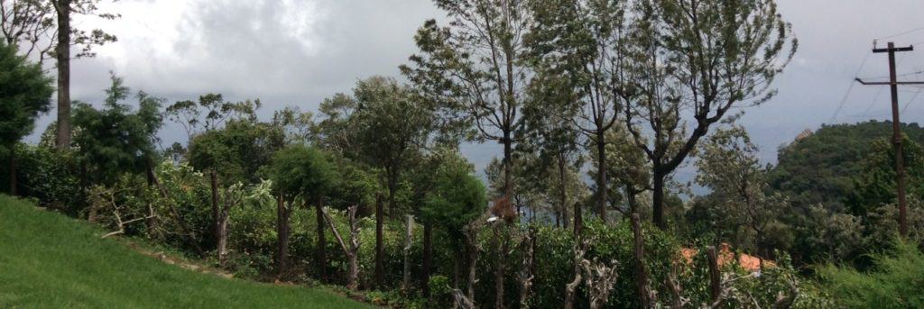 Weather in the Nilgiris