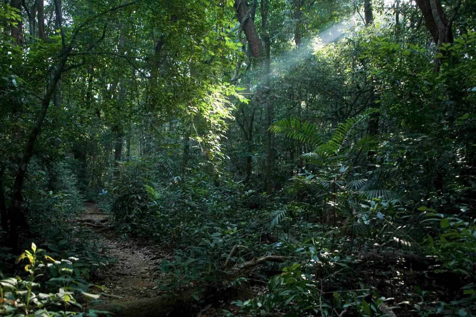 Estate de Escobar- plot