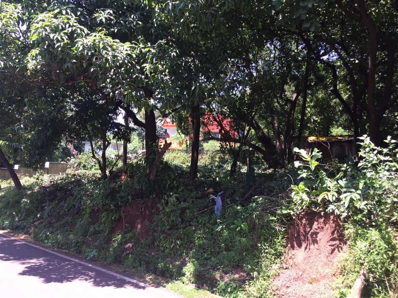 villa-alenteho-plot-02