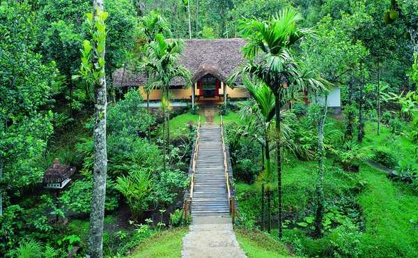 Spice Plantation Tours Spice Plantation Tours