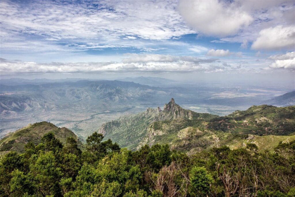  Why Coonoor is the Perfect Summer Getaway