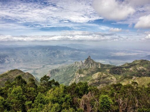 Why Coonoor is the Perfect Summer Getaway