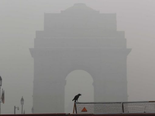 Delhi's unhealthy environment