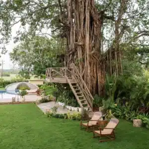 Luxury Villas in North Goa - Tree House