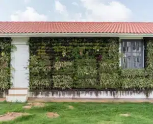 Villa for Sale in Ooty - Green Wall