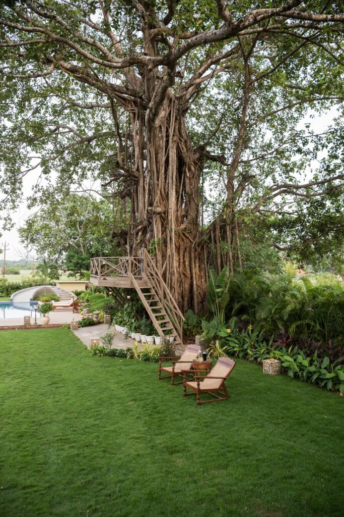 Casa Brava - Goa Villas with Private Pool for Sale - Garden View