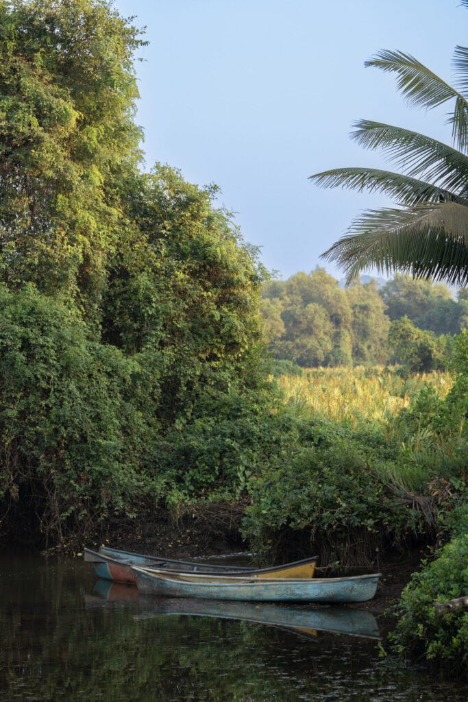Holiday Homes in Goa - Beautiful Nature