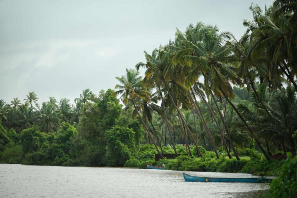 Luxury Villas - Colvale, Goa