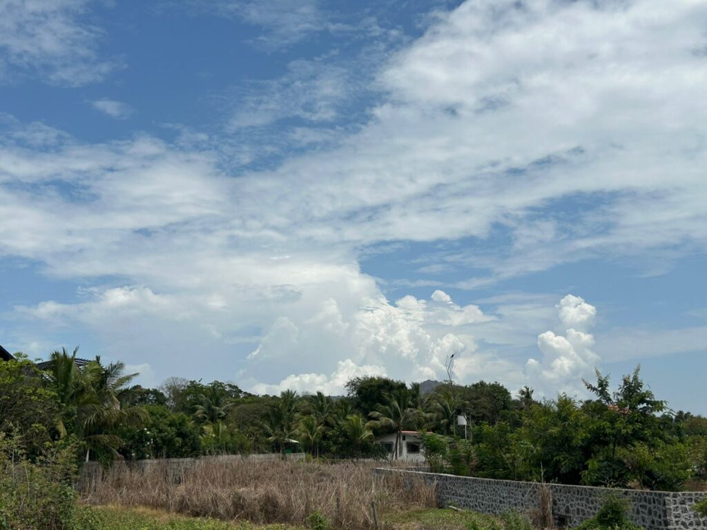 Luxury Home For Sale In Alibaug - Aerial View