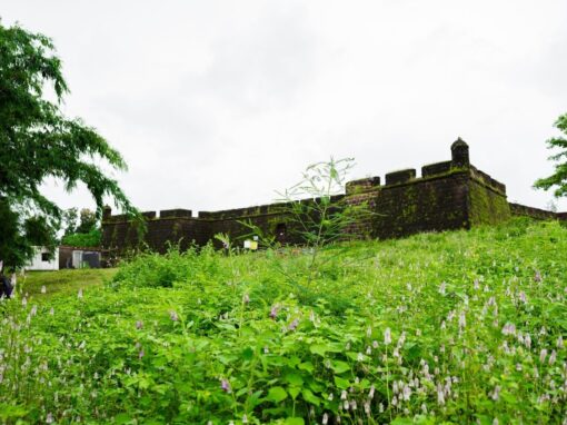 Corjuem Island: Where Privacy Defines Luxury