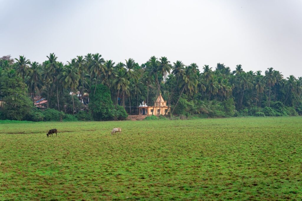 Why Pernem Is North Goa’s Fastest-Growing Luxury Home Address