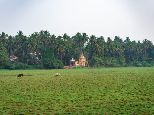 Why Pernem Is North Goa’s Fastest-Growing Luxury Home Address