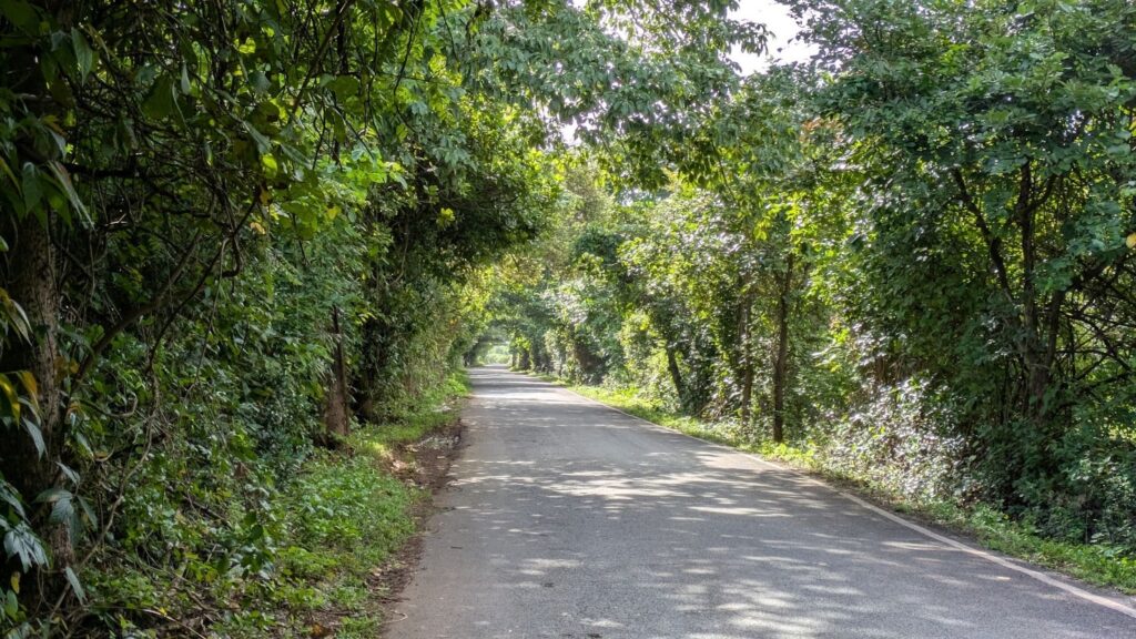 Why Pernem Is North Goa’s Fastest-Growing Luxury Home Address