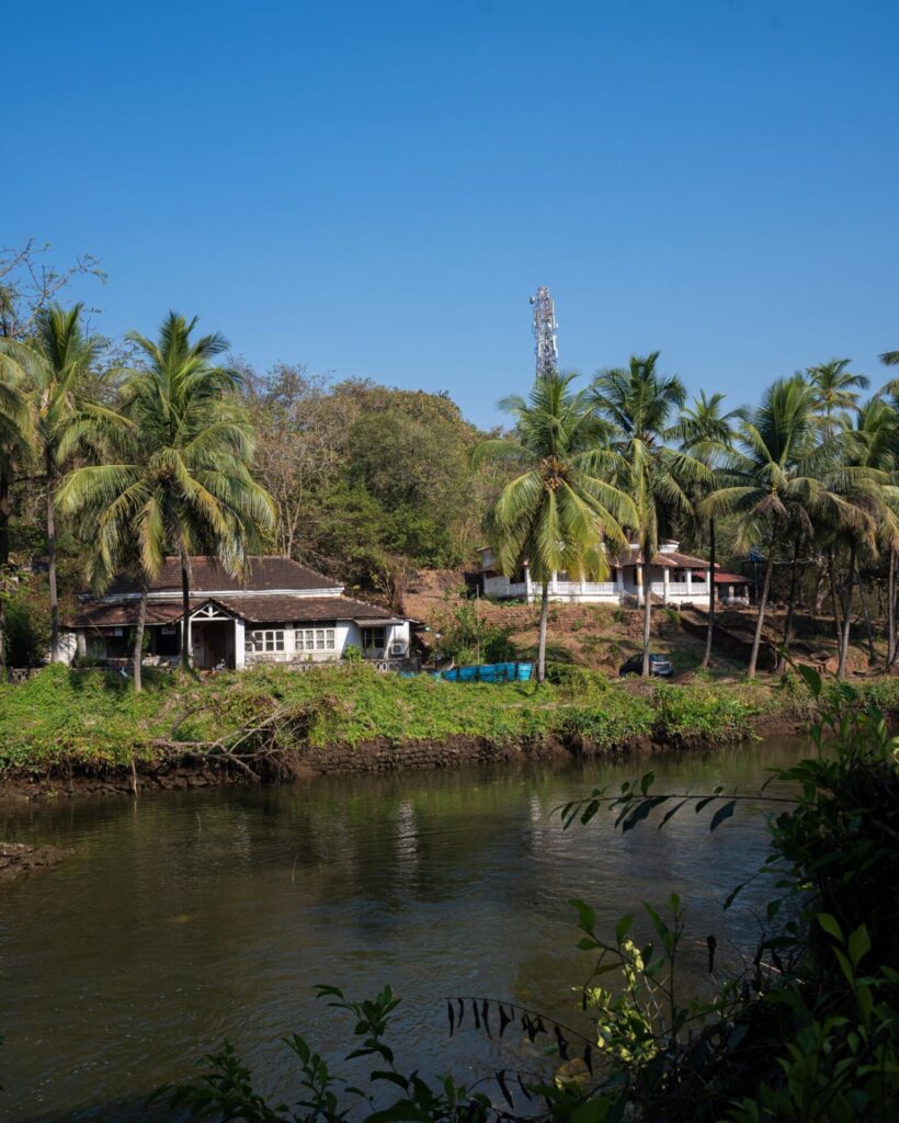 Ready-to-Move vs Under-Construction Villas: A Luxury Villa Buying Guide for India
