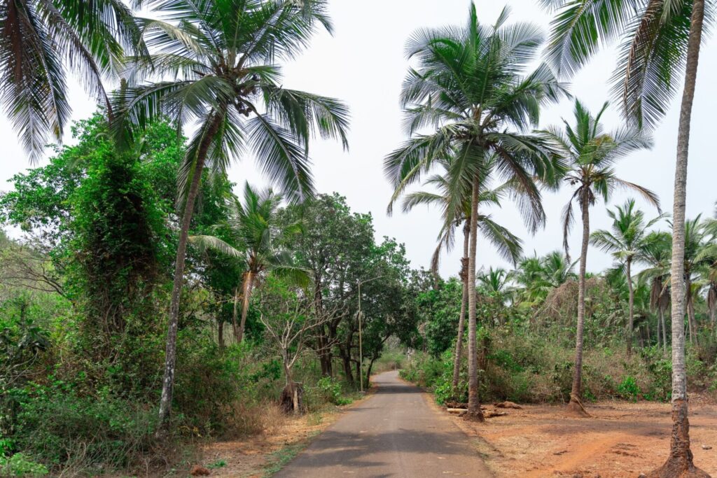 Ready-to-Move vs Under-Construction Villas: A Luxury Villa Buying Guide for India