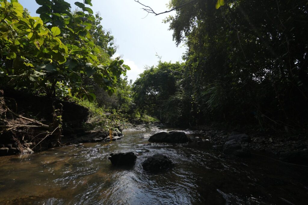 Luxury Villas in Zirad, Alibaug: A New Chapter in Coastal Living - Isprava