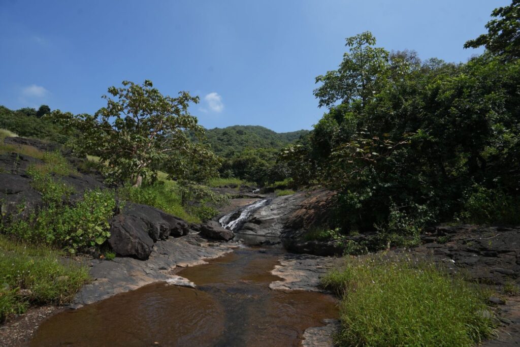 Luxury Villas in Zirad, Alibaug: A New Chapter in Coastal Living - Isprava